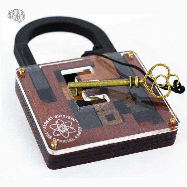 Casse-tête IQ Lock en bois, défi logique pour tous les âges