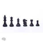 Échiquier magnétique avec pièces en plastique
