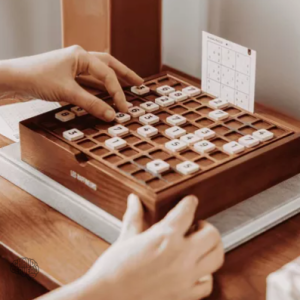 Coffret design de Sudoku en bois haut de gamme
