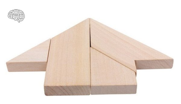Casse-tête Tangram T, puzzle en bois pour développer l'esprit